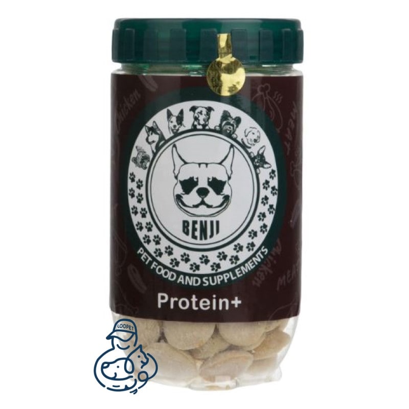 غذای خشک سگ بنجی پروتئین پلاس