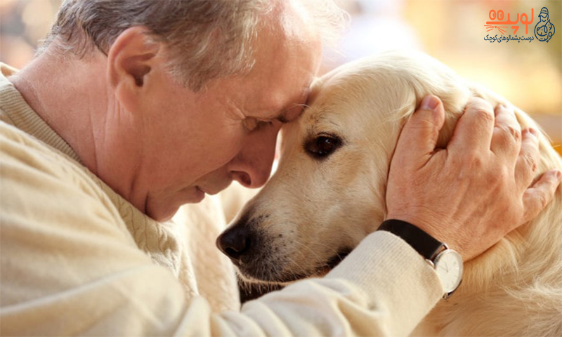 درمان بیماری های روحی با حیوانات خانگی