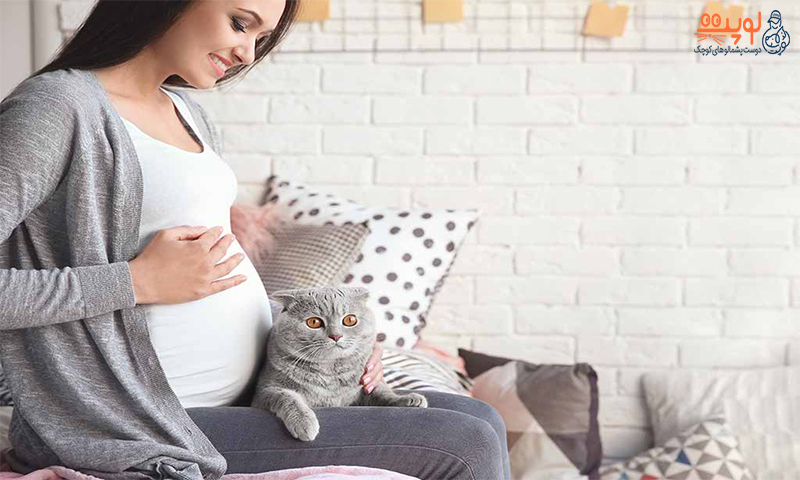 نگهداری از گربه در بارداری