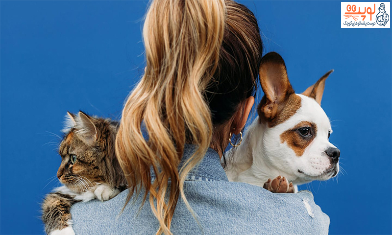 چه ویژگی هایی یک سرپرست خوب سگ و گربه باید داشته باشد؟