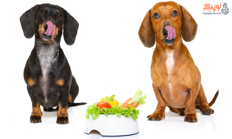 سبزیجات برای سگ ها