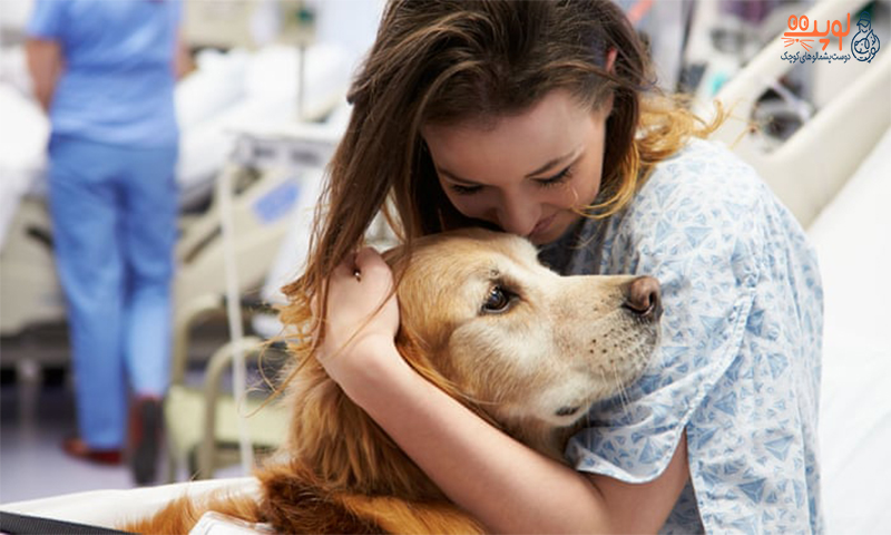 حیوان درمانی و درمان بیماری های روحی با حیوانات