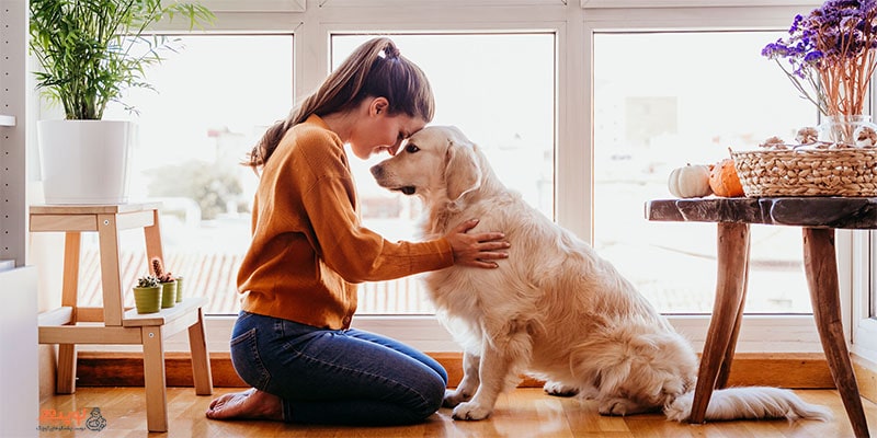 دلایل روانشناسی برای نگهداری سگ