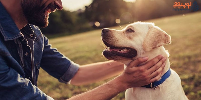 دلایل روانشناسی برای نگهداری سگ